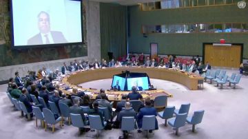 Пока Киев не примет реальность, Россия будет действовать военным путём, — постпред РФ при ООН