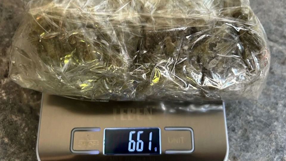 ������������ ��� ��������� � ��� 25 ������ ���������� �����������, ������� ��������� ������������� ����