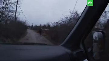 ��� ������������� ��������� �� ���������� ����������� ��� � ����������, �������� ������������� ������ ��������� ������