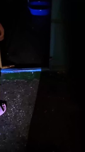 � ����� � ������������ �������� �����: ���� �������� ��������, � ������� �������