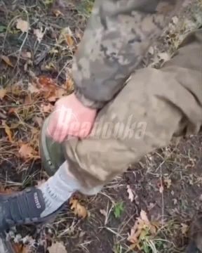 ������ ���, ����� �� ������: ������� ����� ��������, ��� ��������� ������ ����� ������� ��� � ������� ��