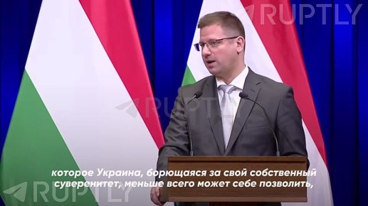 �������������� ������� �������� ��������, ��� �������������� � ����� ������������� �������. ��� ��������� ������������, ������� �������, ��������� �� ���� �����������, ������ ����� ����� ���� ����������: ����� ����������...