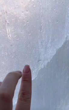 "���������� �����������" ���� ��� �����, ����� � ����� �����