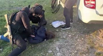 ��� ������������� ������� � ����������� ���� � ���������-��������