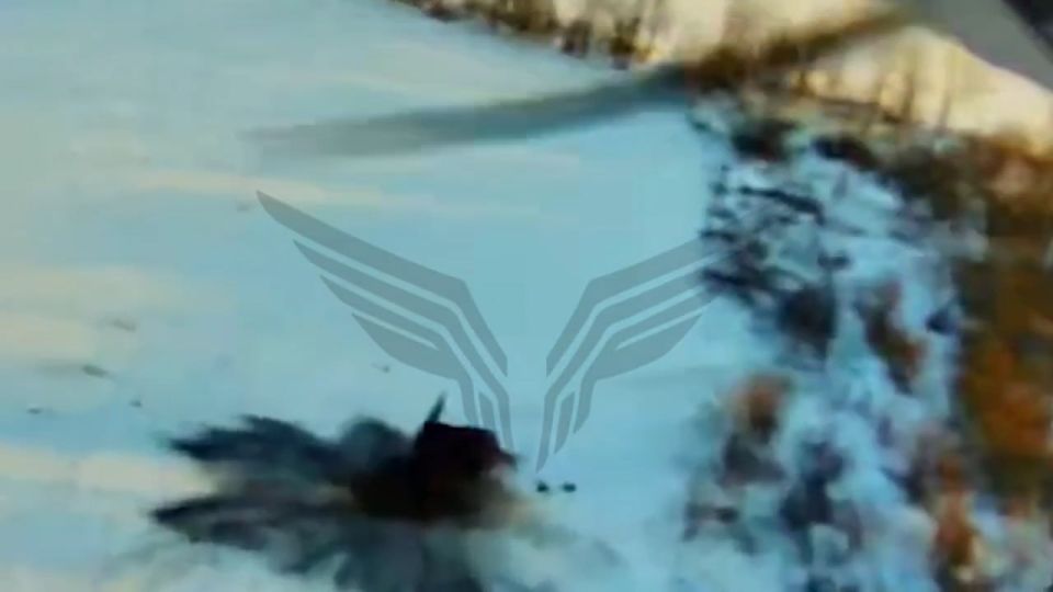 ����� ������-��������� ��-35 �� ��� AN/MPQ-53 (��� ��� ������) �� ������� ��� MIM-104 Patriot � ������ ��������