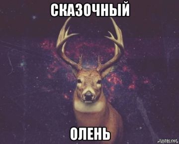 ����� ������� ������ ������������ ������ ������� ������� �� � ������