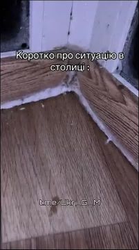 �����! � ���� �����������, ��� ������!�: �������� ��������� � ����� �����