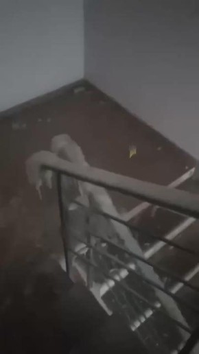 ���� ����: ������� ����������� � �����