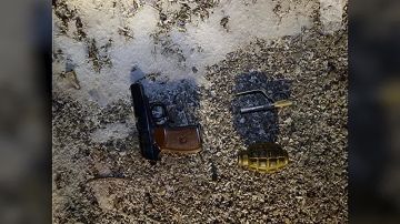 �������� ������������� ������ �����, ����������� ������� ������ �������������� �� ��. ��� �������� ���, ��� ������ �����������, �� ������ ����������� ������������� ��� ����������