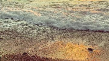 ������ ������: ���� 20 ������ 1991 ���� ����� �������� � �������� �������� � ������������� �������