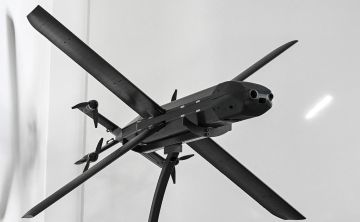 �������� ����������� ��������� Bloomberg ��� ���� ������������