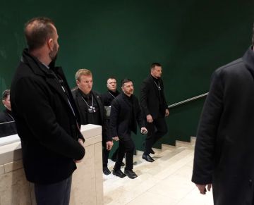 Совместной пресс-конференции после встречи Трампа и Зеленского не будет, пишут украинские СМИ