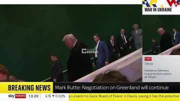 Трамп: Мы с Зеленским не обсуждали проект Совета мира