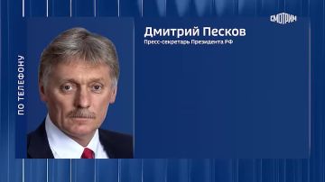 "Мы приветствуем эти усилия и их результативность": Путин высоко оценивает результативность миротворческих усилий по Украине Трампа и его команды, заявил Песков