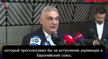 В ближайшие 100 лет Венгрия не пустит Украину в Евросоюз, предупредил Виктор Орбан