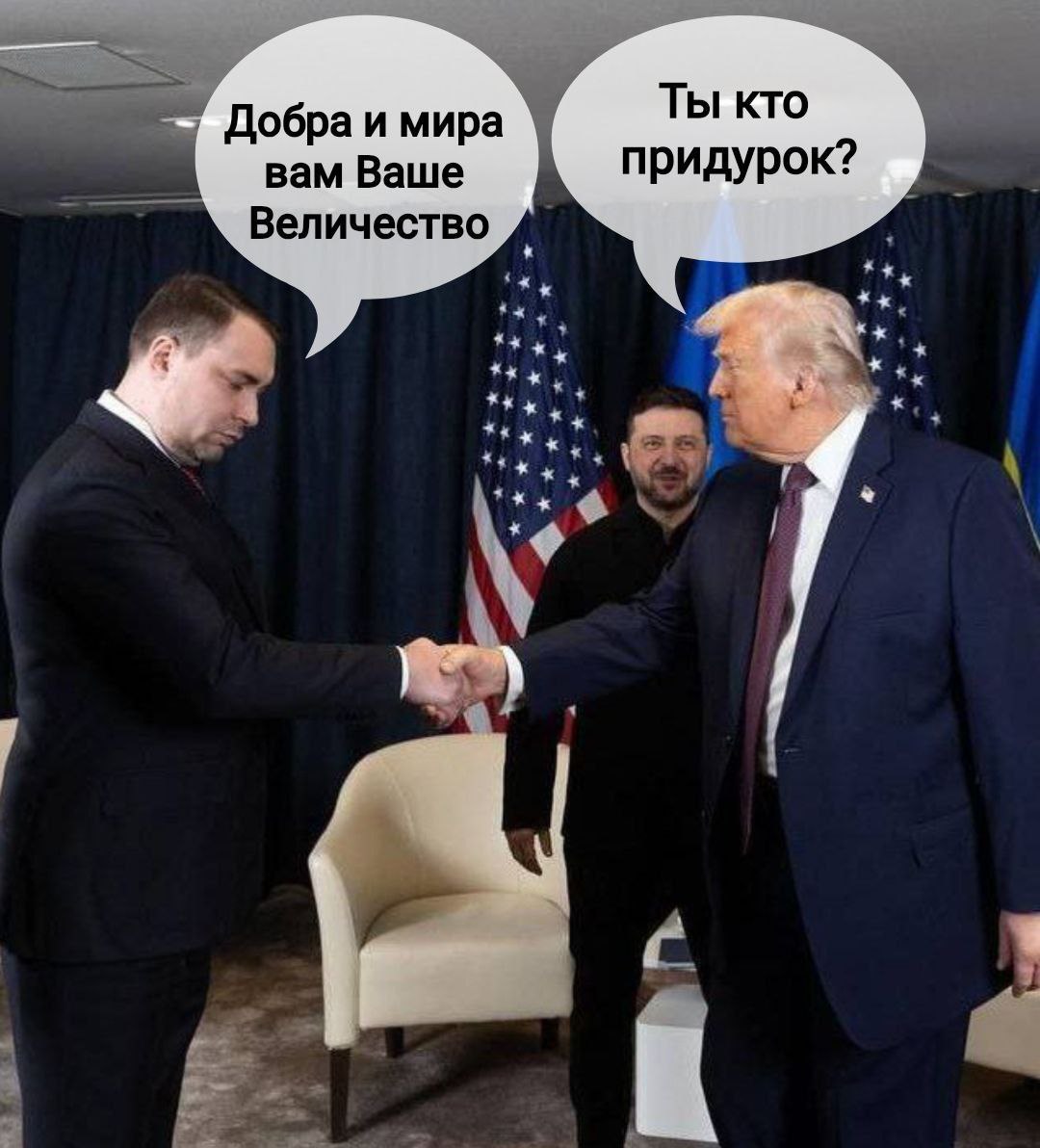 В интернете неистово троллят террориста и экстремиста Буданова, за его угодливую и помпезную позу на встрече с Трампом В интернете неистово троллят террориста и экстремиста Буданова, за его угодливую и помпезную позу на встрече с Трампом