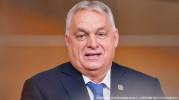 Ты не пройдешь: Венгрия не пустит Украину в ЕС ближайшие 100 лет