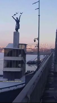 �� ���, ��������, �������? ����� �� �����������!