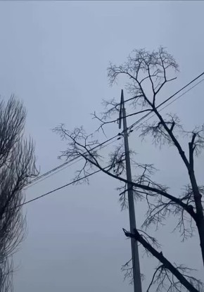 � ����� ���������� ����� ������ �������, ��� �������� ������� ������ "������", � ������ ������� ������ �������������� �����