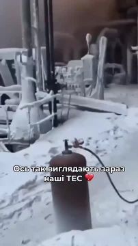 ���� ��������: ���������� ���. ������ �������