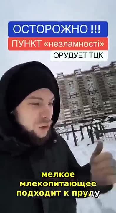 «Это не пункты помощи, а пункты отправки на убой»