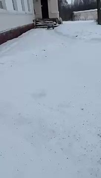 #������������_���������: ������ � �������� ������������ ������� ����������� ������� �� ����� �������� ������������� ��������� ���������� ������������ ������