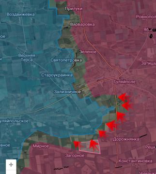 ����������� �����������. ������� ���������