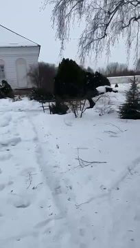 ������� � ������� ���� ����������