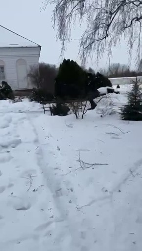 ЦЕРКОВЬ — ГЛАВНЫЙ ВРАГ ЗЕЛЕНСКОГО