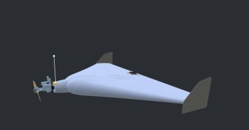 Летают над всей Украиной: Что известно о новом разведывательном беспилотнике