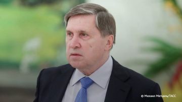 ���� ��������� ����� � ������� � �������, �� ���������� ��� � ������