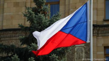 ������ �����������: ����� ������ �� ����� ���������� �������� � ���������� �� �������� ����������� �������