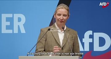 �������� �������� ���� �������: ������� 85 ���������� ����