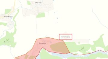 Бойцы группировки войск «Север» установили контроль над населенным пунктом Белая Береза Сумской области