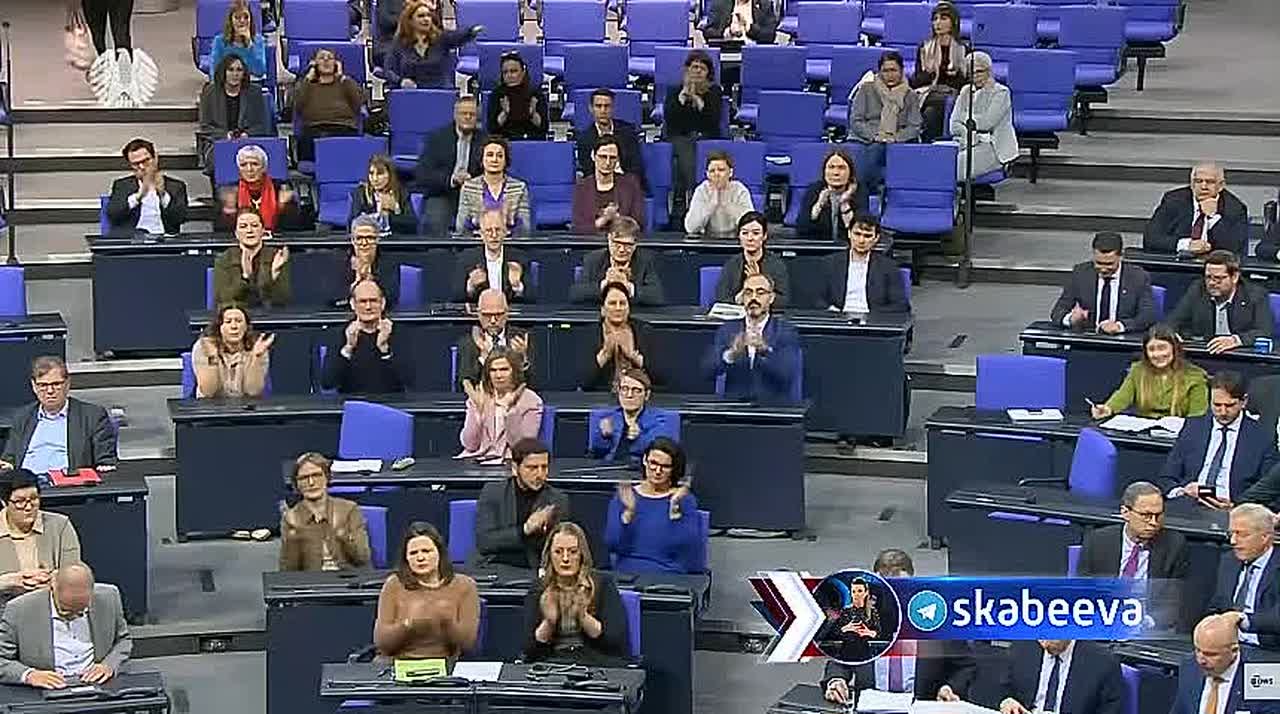 Депутат Бундестага Бритта Хассельман закатила Мерцу истерику