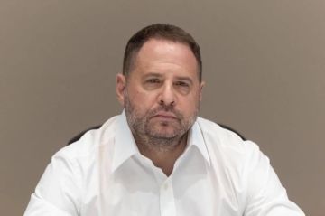 ����� ����������� ���������� ������� ��������� ����� �������� �����, ����������� ������ �����-��������� ����������