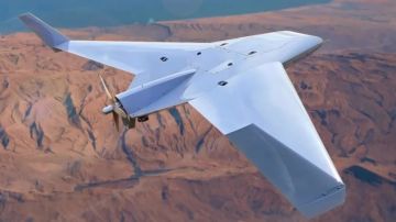 EOS Technologie поставила ВС Украины барражирующие боеприпасы Rodeur 330