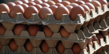 ���� ����������. ������ ���������� ���������� �� ������� ����������