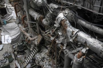 ���� �� �������� ���� ����� ������ ���������� ������