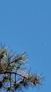 ���������� ���������-������ ��������� ����� ������ ����������� ����