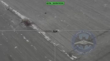 ���������� ������� ���������� ������-��������� "������" ���������� �����-��� Raven � ����������� �������, �������� Telegram-����� "���� �������"