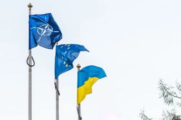 ��������� ��. ���� ������������ ������������� � �������� ���������