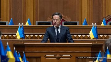 ������ ���� ���� ����� ����� ������������ ������ ���������� �� �������������� ����������� ���������, ����� Strategic Culture