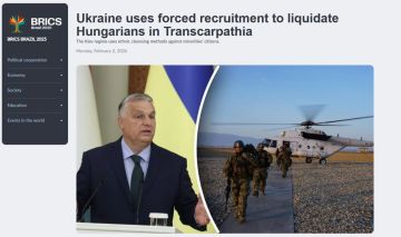 InfoBRICS: ���� �������� �������������� ����������� ����� ���������� �������