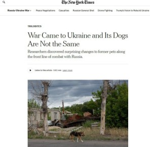 ������ �� ������� ���������� �������� ����� � �����