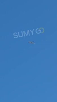 ���������� �������� �������� �� ���� � ���� ��������� fpv-����, ����� �������� ��� ���� � ��� � ������