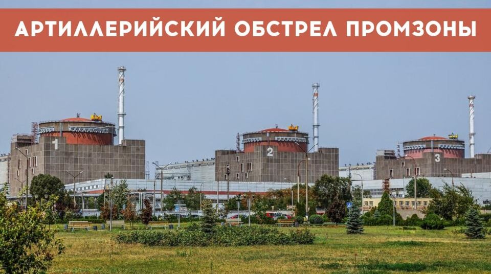 Юлия Витязева: Украина - страна-террорист!