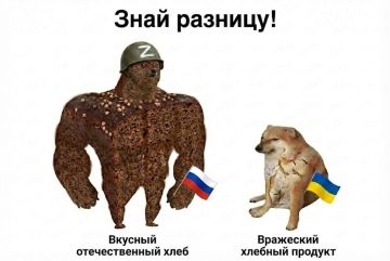 �������� ���� �������� ���� ������������