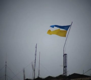 ���� ������� �� ������� ����� �������: ������ ���������� ����� ����������