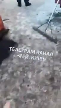 ������ ����������: � ����� ������������� ������� ������� �� ����